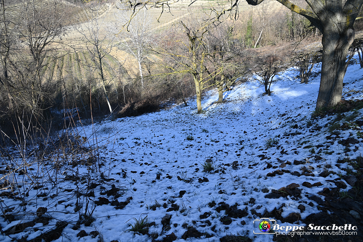 VBS_0819 - Corneliano d'Alba.jpg